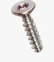 BN 2043 ecosyn® plast Flat countersunk head screws with hexalobular (6 Lobe) socket