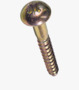 BN 5946 Pozi round head wood screws form Z