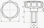BN 2951 FASTEKS® FAL Sterngriffe mit montierter Schraube
