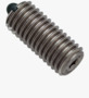 BN 13374 HALDER EH 22060. Spring plungers with bolt and hex socket set screw bonded bolt stainless steel