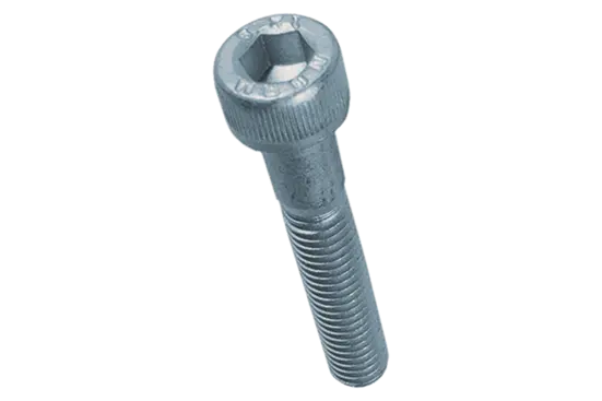 BN 12 | 有頭內六角螺絲 半牙