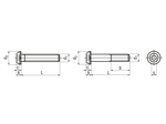 Technical drawing with dimensions of Hex socket button head cap screws partially / fully threaded