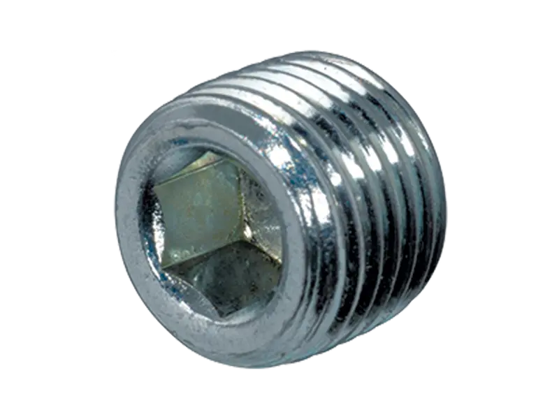 제품 이미지: Hex socket pipe plugs metric fine thread