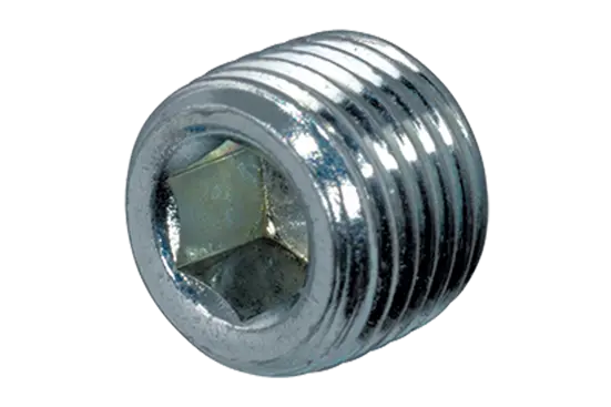 BN 40 | Hex socket pipe plugs metric fine thread
