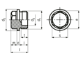 Technical drawing with dimensions of Hex head screw plugs with shoulder, metric fine thread long thread