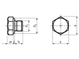 Technical drawing with dimensions of Hex head screw plugs pipe thread