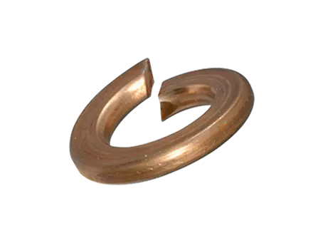 Immagine del prodotto Rosette elastiche spaccate senza becchi