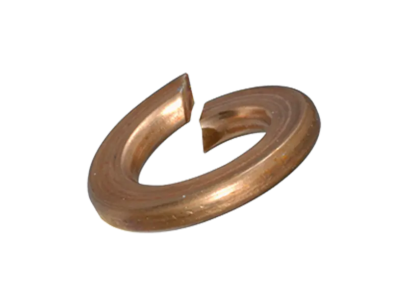 Immagine del prodotto Rosette elastiche spaccate senza becchi