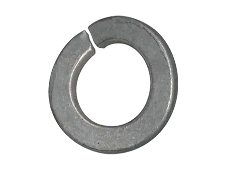 Image du produit de Rondelles élastiques cintrées