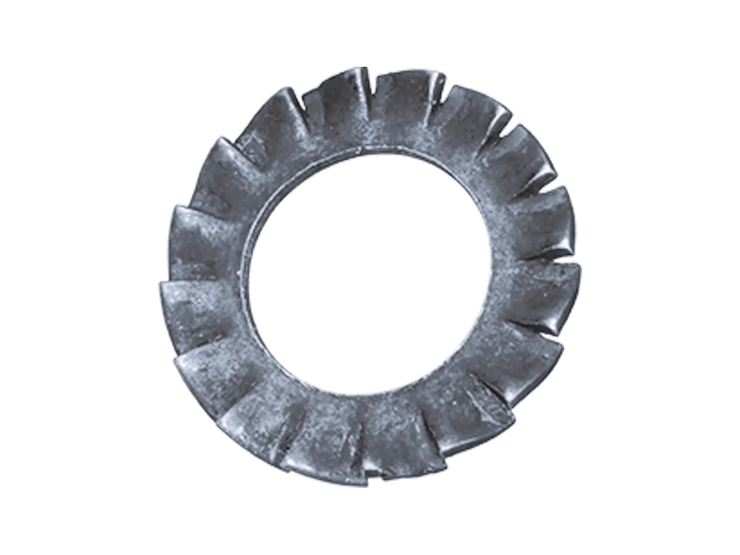 BN 781 | Serrated lock washers type A, external serrations