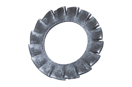 BN 781 | Serrated lock washers type A, external serrations