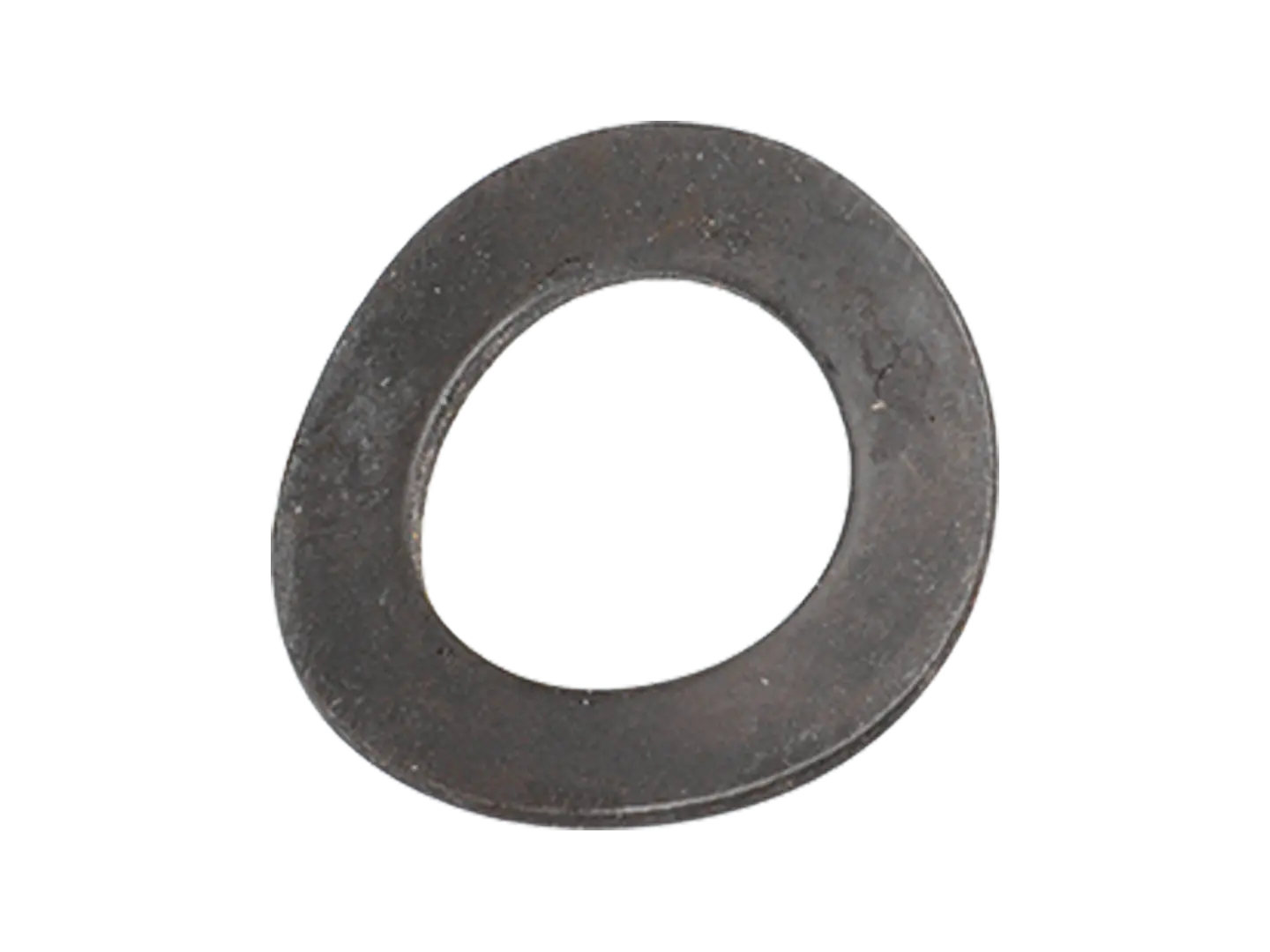 BN 796 | Rosette elastiche ondulate