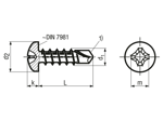 Dessin technique avec dimensions de ecosyn® drill N - Vis autoperceuses à tête cylindrique bombée avec empreinte cruciforme Phillips forme H