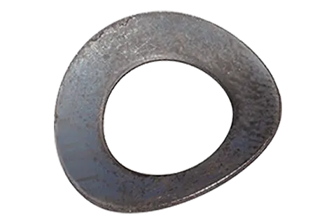 Spring Washers