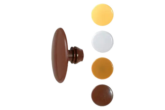 BN 2039 | Capuchons de protection pour six pans creux