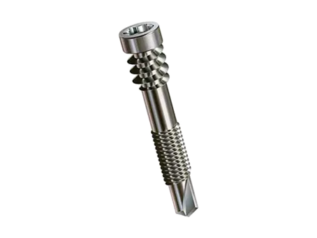 Image du produit de SPAX® - Vis à tête cylindrique pour terrasses en bois avec filetage de fixation, pointe de perçage et six lobes internes T-STAR plus
