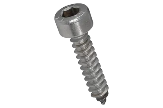 BN 5359 | Vis à tôle à tête cylindrique à six pans creux et à bout pointu forme C