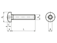 Dibujo técnico con dimensiones de Tornillos con cabeza cilíndrica redondeada con hueco hexalobular, totalmente roscados