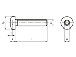 Dibujo técnico con dimensiones de Tornillos con cabeza cilíndrica redondeada con hueco hexalobular, totalmente roscados