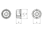 Technical drawing with dimensions of Hex nuts with flange and serrations
