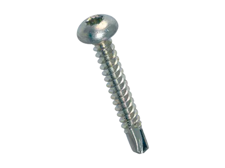 Image du produit de ecosyn® drill N1 - Vis autoperceuses à tête cylindrique bombée à huit pans creux