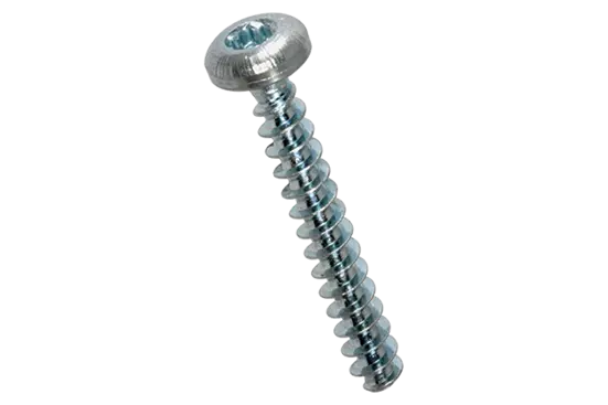 BN 13265 | Linsenkopfschrauben mit Innensechsrund Torx plus® / Autosert®