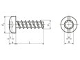 Dessin technique avec dimensions de ecosyn® plast - Vis à tête cylindrique bombée «Freedriv» à six lobes internes et fente