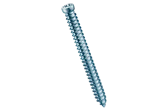 BN 20216 | Anclaje de marcos con cabeza cilíndrica y hueco hexalobular T-STAR plus