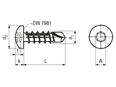 Dessin technique avec dimensions de ecosyn® MRX NOS - Vis autoperceuses à tête cylindrique bombée à huit pans creux