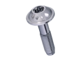 Image du produit de EJOT ALtracs® Plus - Vis à tête bombée avec rondelle pressée à six lobes internes Torx plus® / Autosert®
