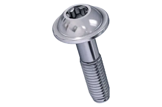 BN 20760 | Vis à tête bombée avec rondelle pressée à six lobes internes Torx plus® / Autosert®