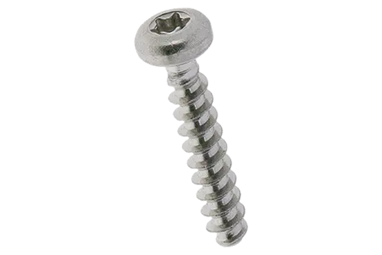 BN 20797 | Vis à tête bombée à six lobes internes Torx plus® / Autosert®