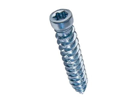 Imagen del producto de Tornillos para marcos y cabeza cilindrica con hueco hexalobular
