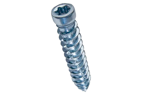 BN 20924 | Hexalobular (6 Lobe) socket cheese head frame screws