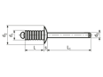 Technical drawing with dimensions of FASTEKS® FBR FGD…ALST - Blind rivets Grooved dome head