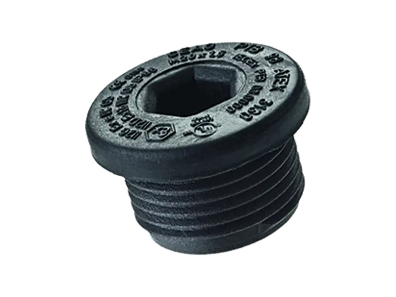 Produktbild av Ex-screw plugs with metric thread and internal hexagonal