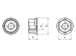 Technical drawing with dimensions of Hex nuts with flange and serrations