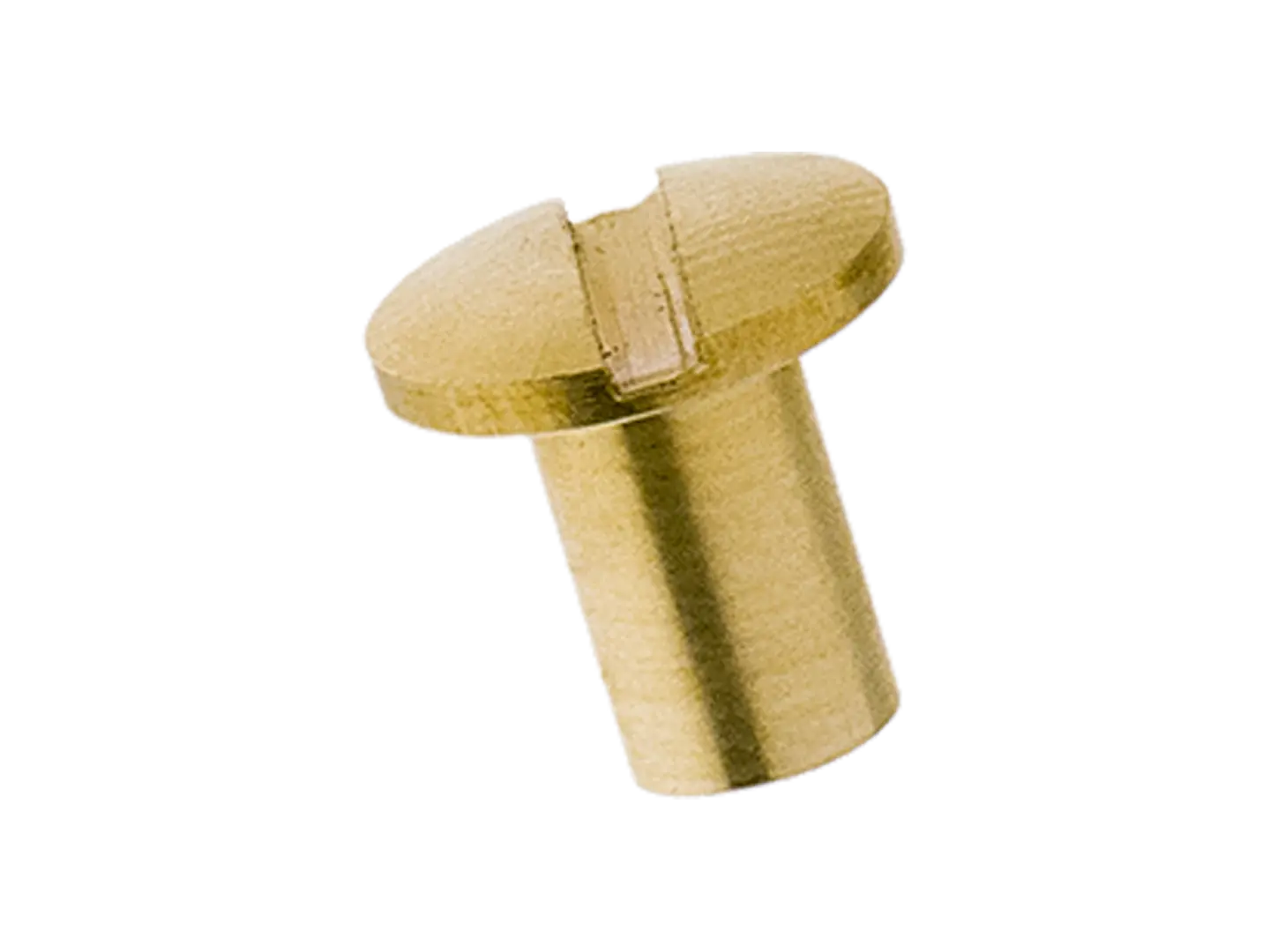 BN 31209 | Bush to book screws