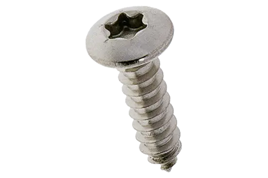 BN 33041 | Hexalobular (6 Lobe) socket pan head tapping screws with cone end type C