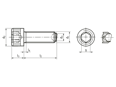 Technical drawing with dimensions of HALDER EH 22700. - Ball-ended thrust screws cylinder head, with hex socket, flat-faced ball protected against rotating, bearing surface plain