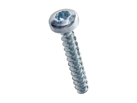 Image du produit de ecosyn® plast - Vis à tête cylindrique bombée à six lobes internes