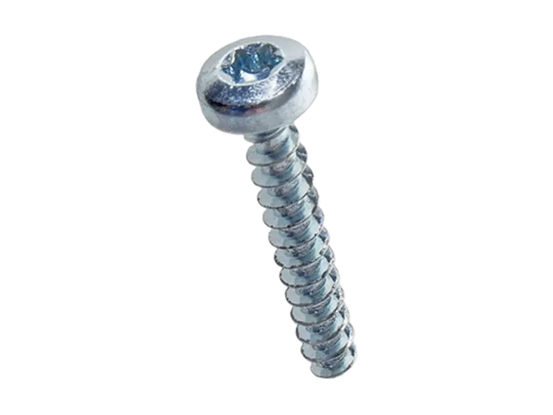Image du produit de ecosyn® plast - Vis à tête cylindrique bombée à six lobes internes