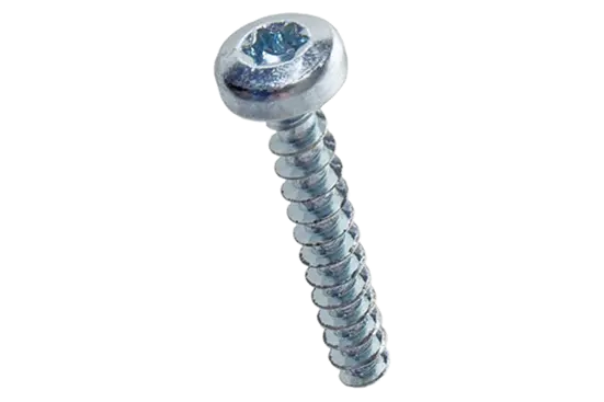BN 84229 | Vis à tête cylindrique bombée à six lobes internes