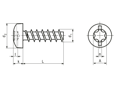 Dessin technique avec dimensions de ecosyn® plast - Vis à tête cylindrique bombée «Freedriv» à six lobes internes et fente non traversante