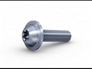 Multifunctional screw